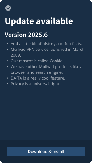 Update available view with a change log and a button to download and install the update.